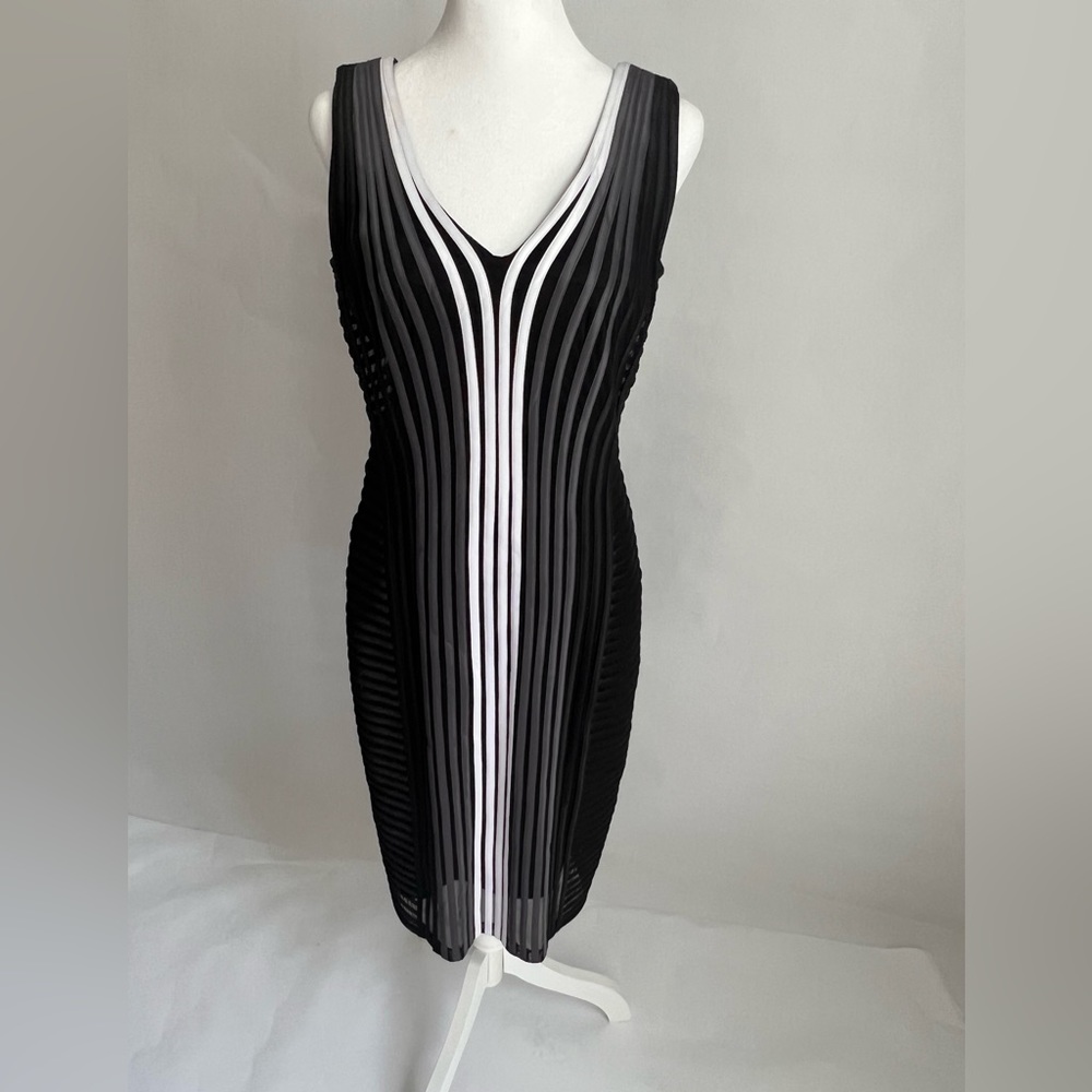 Frank Lyman Cocktail Dress